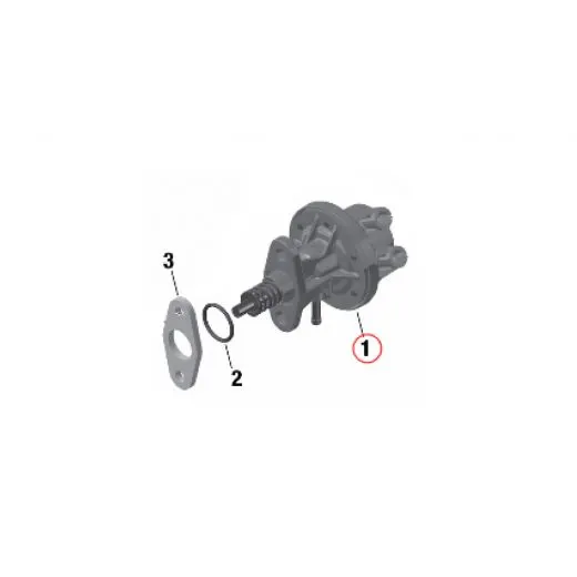 Mechanische Kraftstoffpumpe Rotax