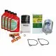 Servicepaket Rotax 912 (80 PS) - 200 Stunden Kontrolle mit NGK Zündkerzen