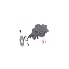 Mechanische Kraftstoffpumpe Rotax